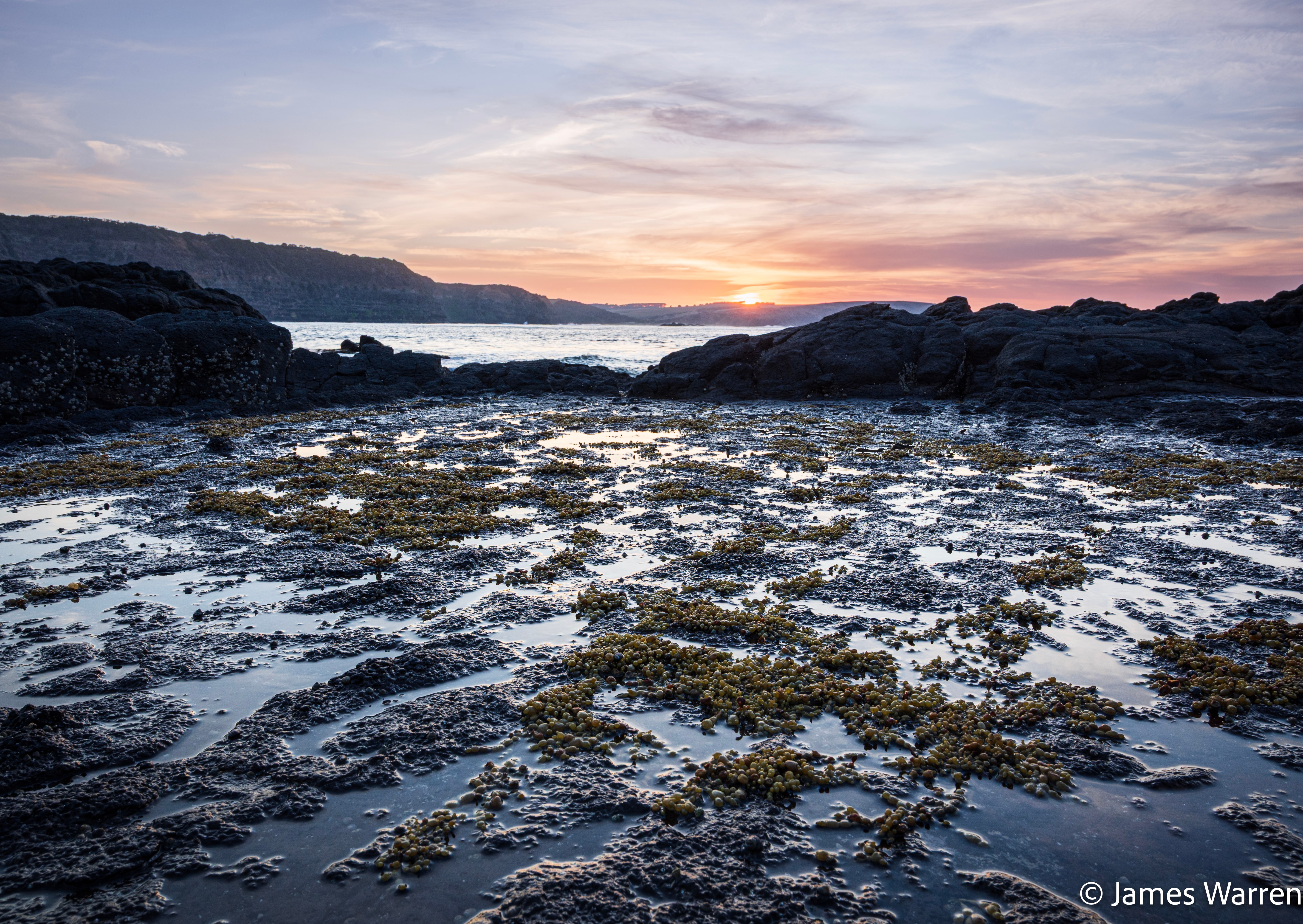Back-catalogue photograph from Cape Schanck