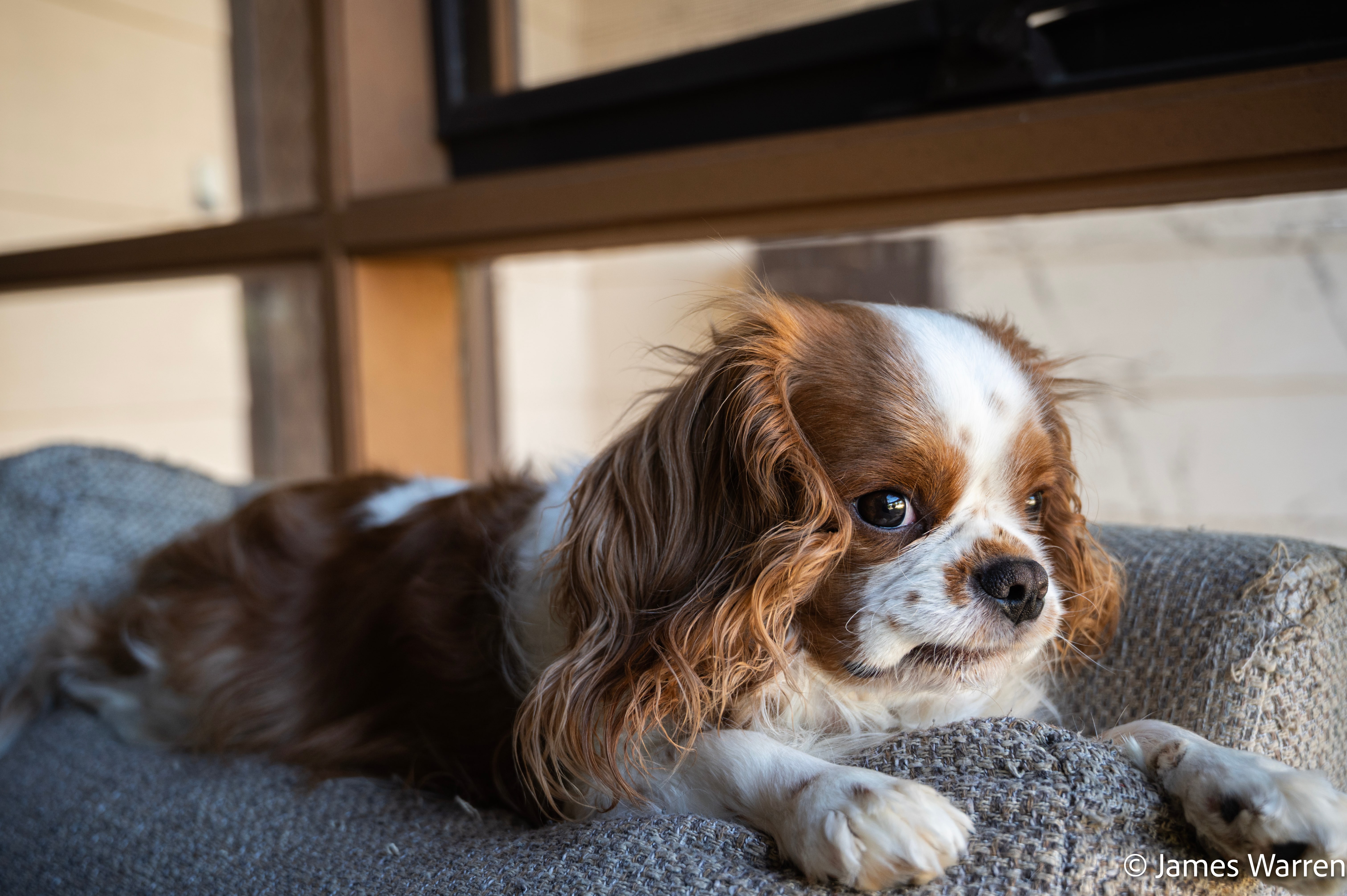 Back-catalogue photograph from Clyde