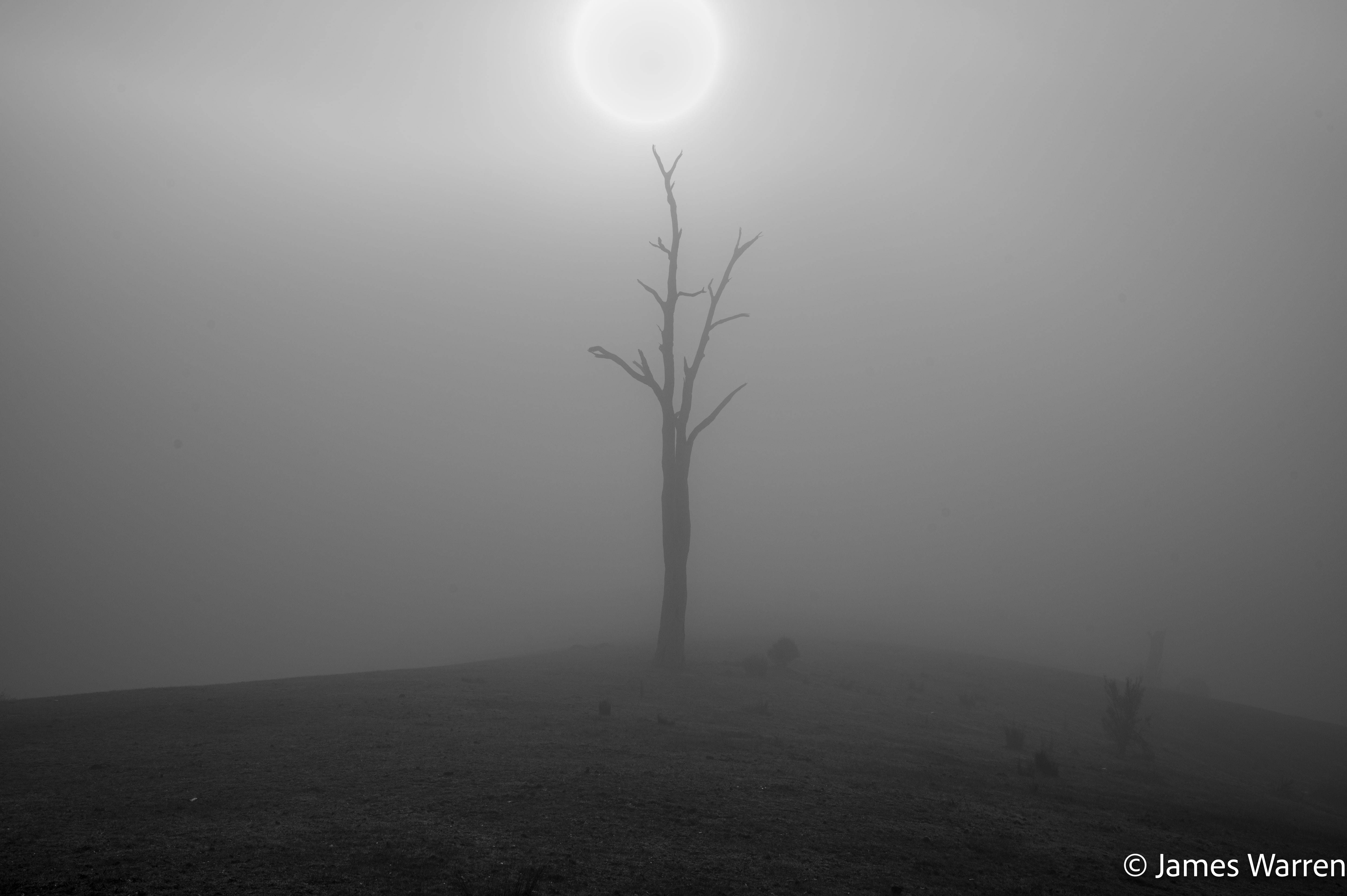 Back-catalogue photograph from Little Cathedral