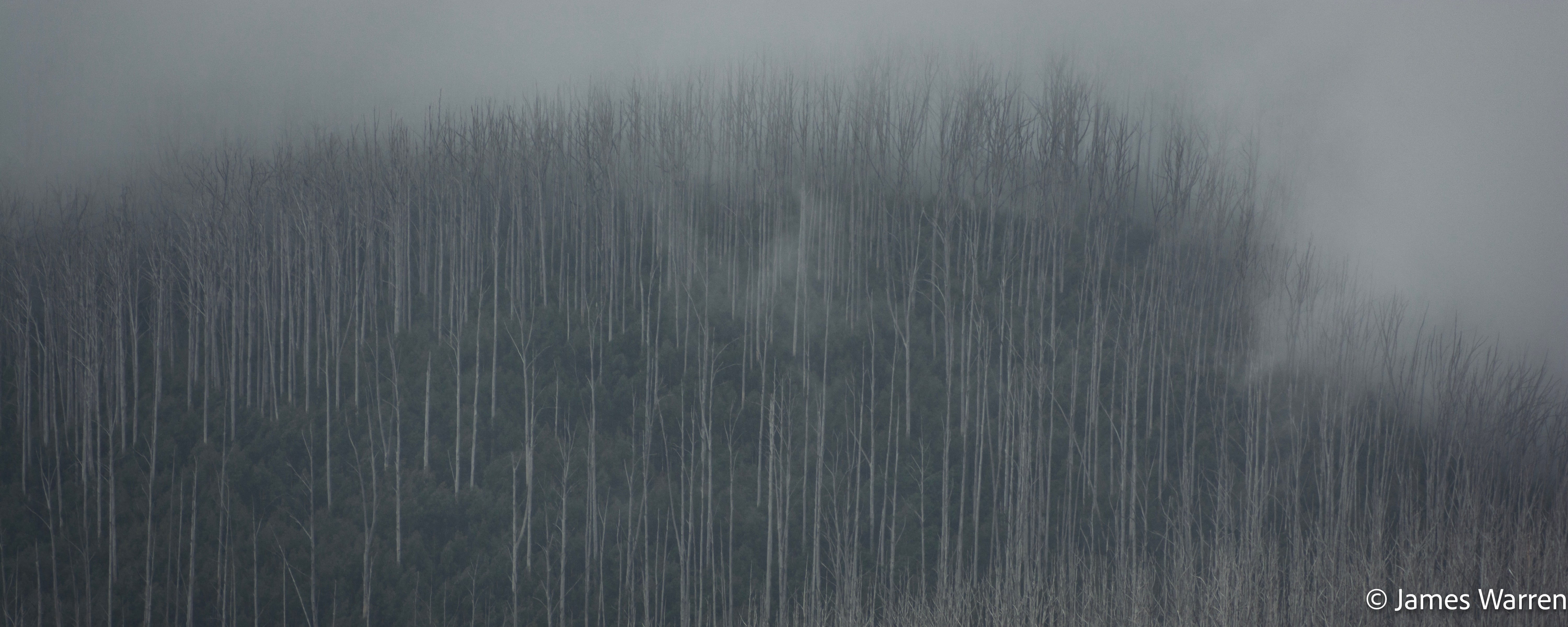 Back-catalogue photograph from Marysville