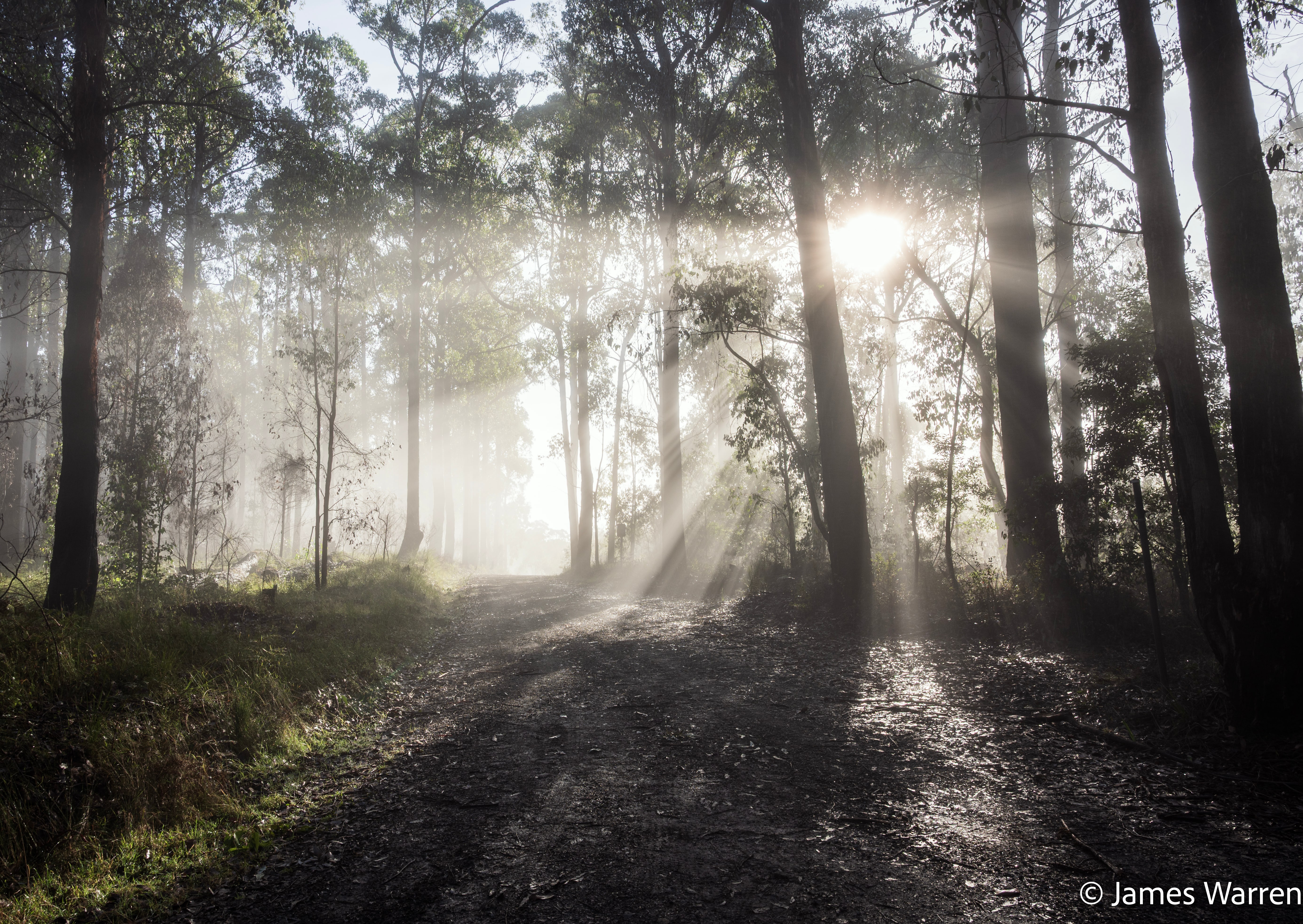 Back-catalogue photograph from Marysville