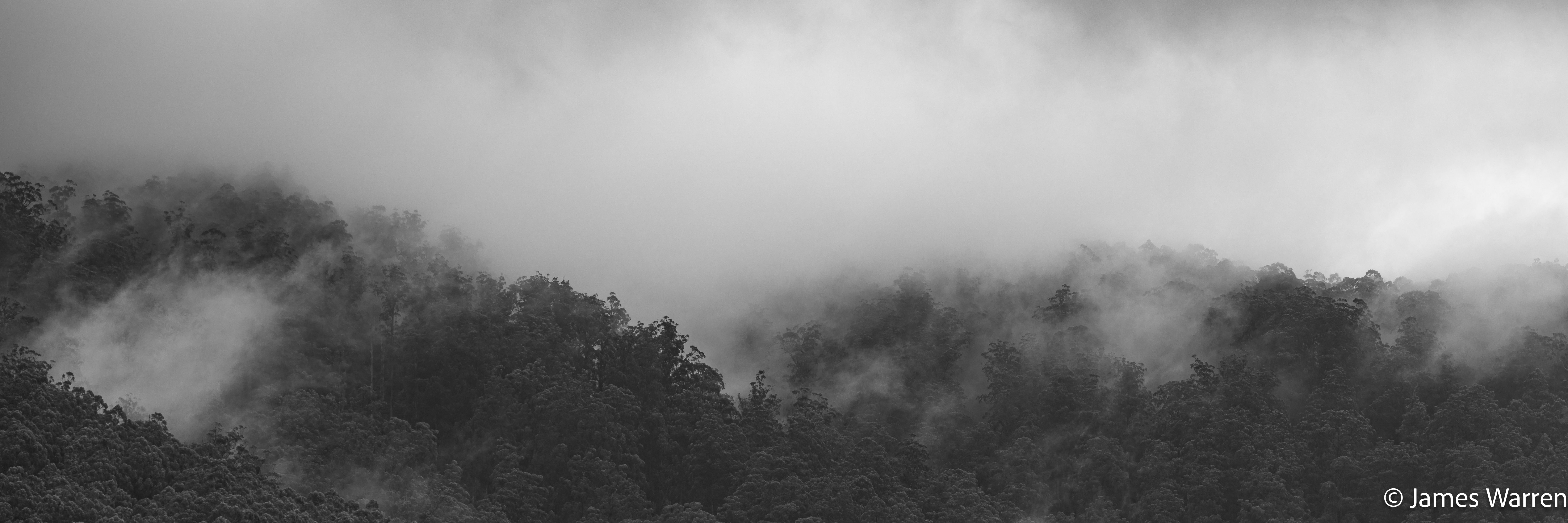 Back-catalogue photograph from Mount Donna Buang