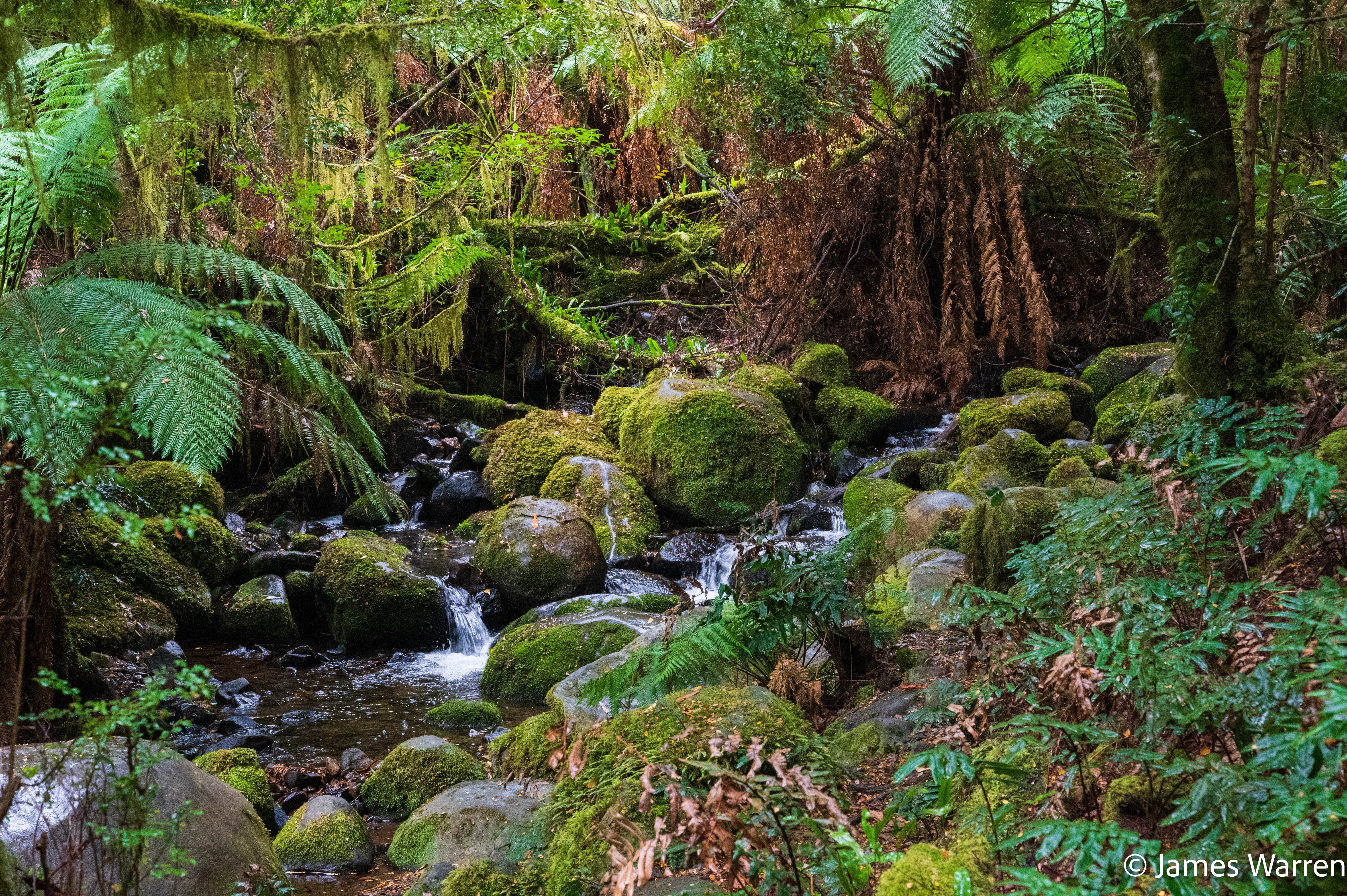 Back-catalogue photograph from Warburton